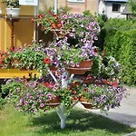 Justinos * Palanga