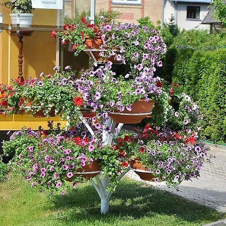 Justinos * Palanga
