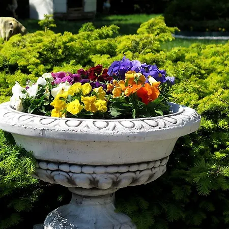 Apartamento Justinos *