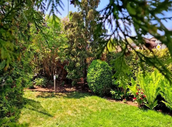 Justinos * Паланга