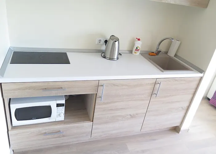 Justinos Apartmán Palanga