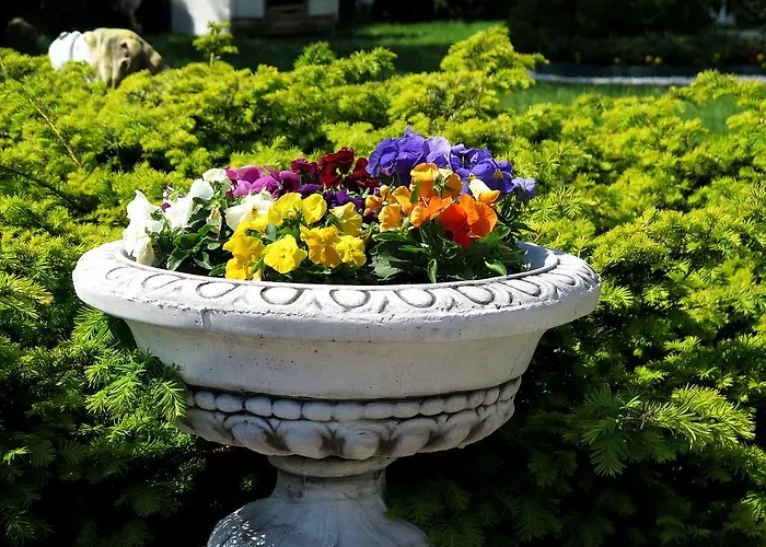 Апартаменты Justinos *