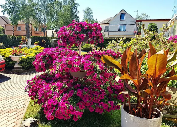 Justinos Апартаменты